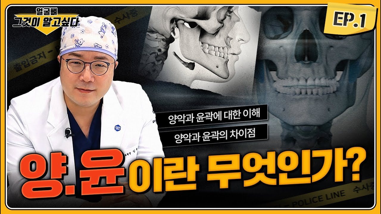 의사와 안면골 엑스레이 및 3D 그래픽