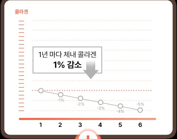 1년마다 체내 콜라겐이 1%씩 감소하는 추이를 나타낸 그래프
