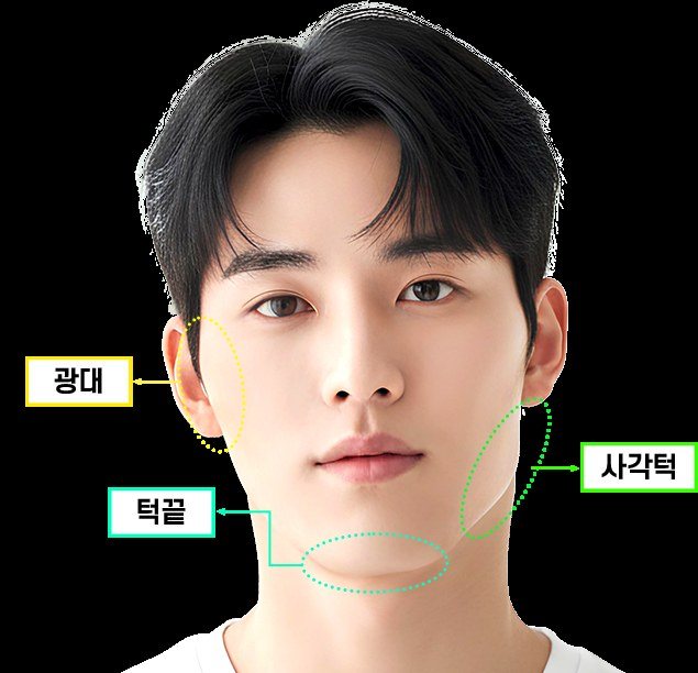 남성의 얼굴에 광대, 사각턱, 턱끝 부위가 표시된 그래픽