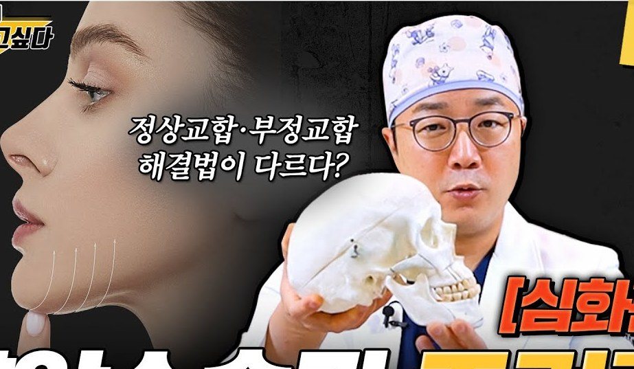여성의 턱 라인 프로필과 두개골 모형을 들고 있는 의사