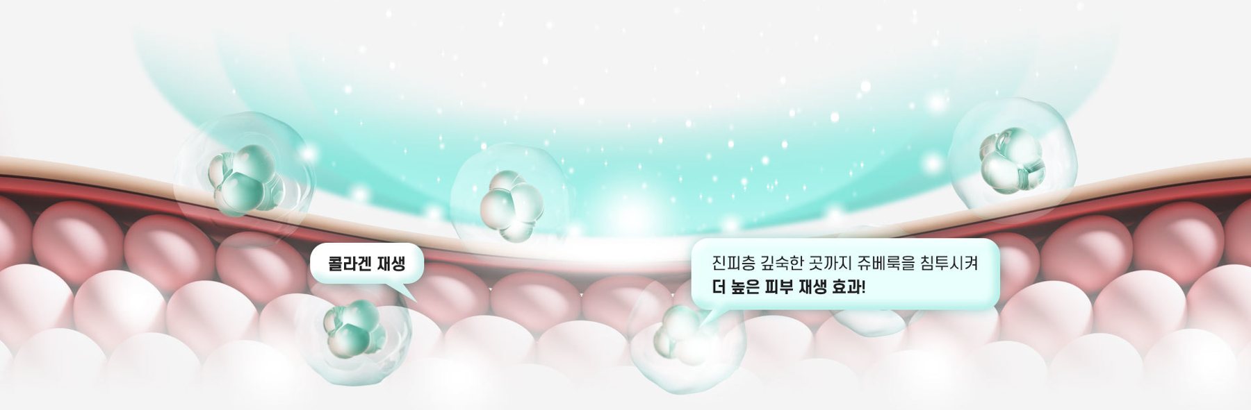 진피층 콜라겐 재생 일러스트