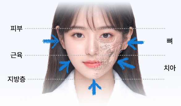 피부·근육·지방층·뼈·치아 층을 표시한 얼굴 반쪽 해부 합성 이미지