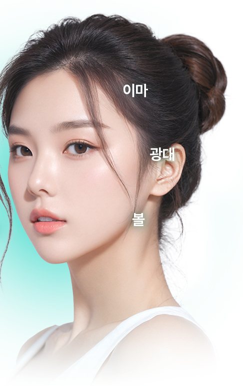 올림머리 여성 모델 비스듬한 얼굴(이마·광대·볼 부위 표기)